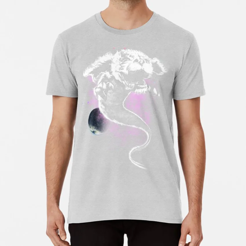 Постоянно космическую историю футболка Дракон Удачи Бесконечная история