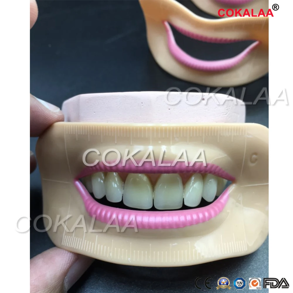 Стоматологические лабораторные зубные протезы инструменты для измерения