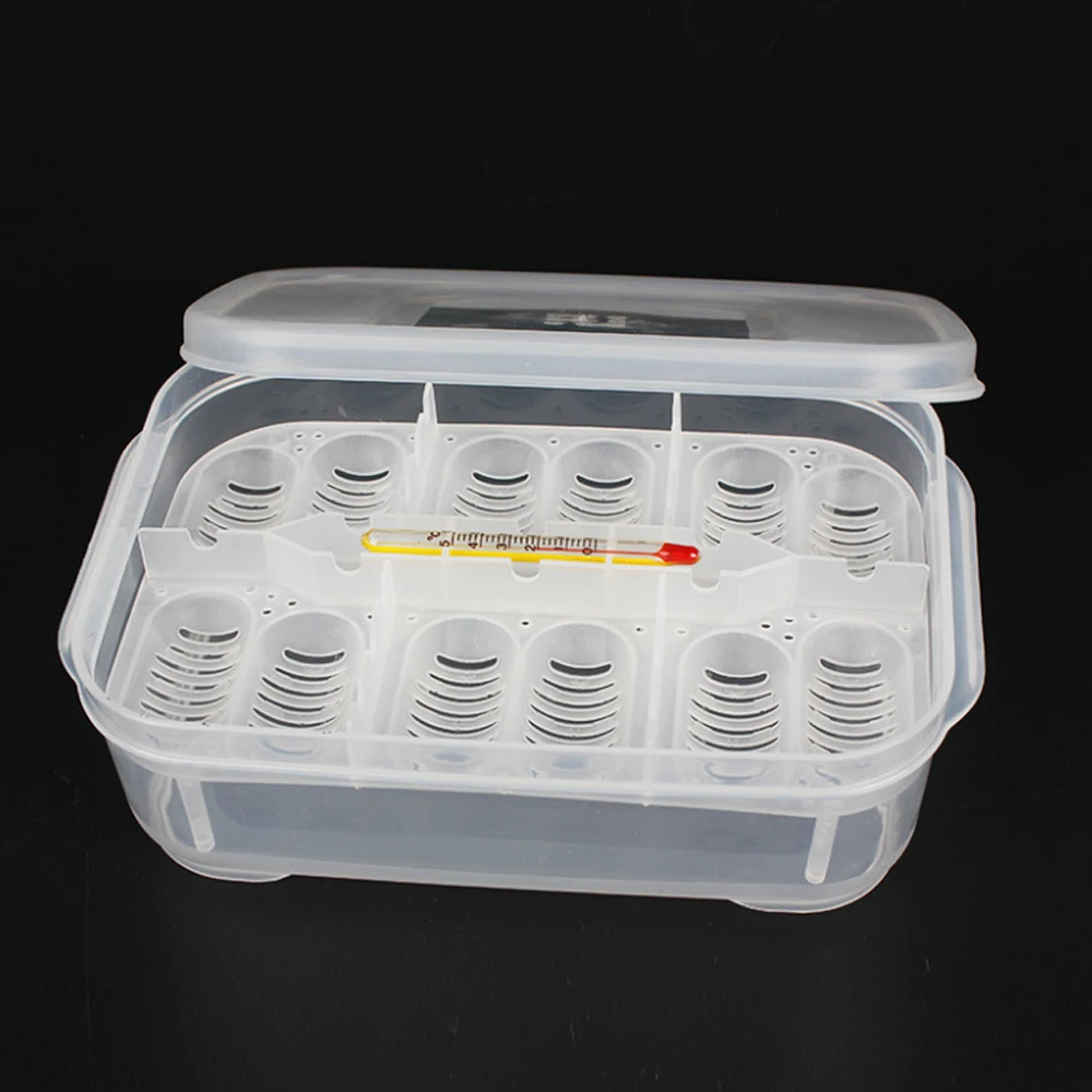 Контейнер для хранения домашних животных Террариум искусственной ящерицы паука