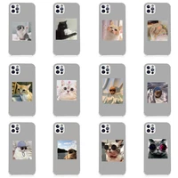 cute cat puppy pet phone case lambskin leatherfor iphone 12 11 8 7 6 xr x xs plus mini plus pro max shockproof