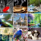 Алмазная картина, квадратная вышивка 5D, 30x40x50x60x70, вышивка крестиком, наклейка на стену, украшение для дома, рождественский подарок