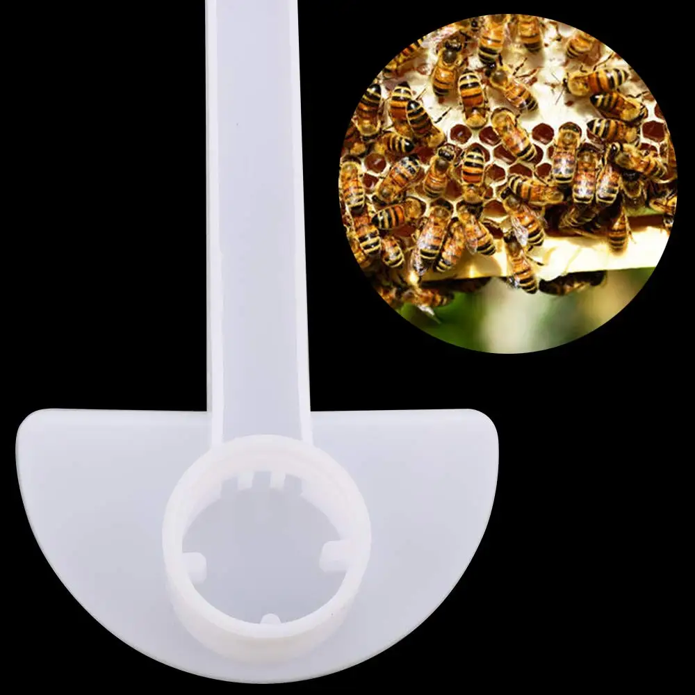 Кормушка для пчеловодства кормушка кормления водных напитков | Дом и сад