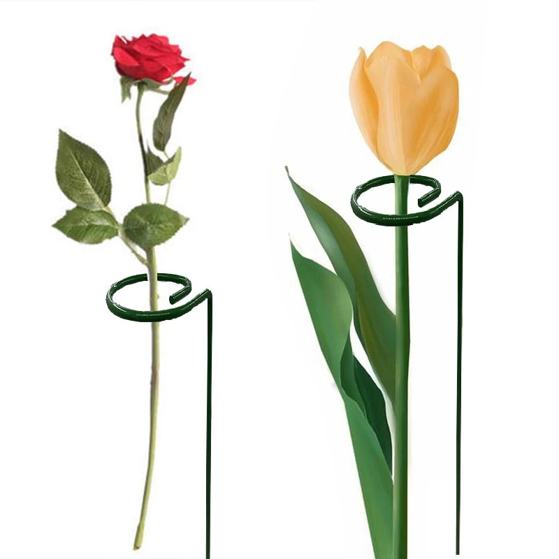 

38pcs/set Plant Support Ring Adjustable Plant Trellises Garden Holder Basket Flower Fixed Climbing Single Stem Support Stake