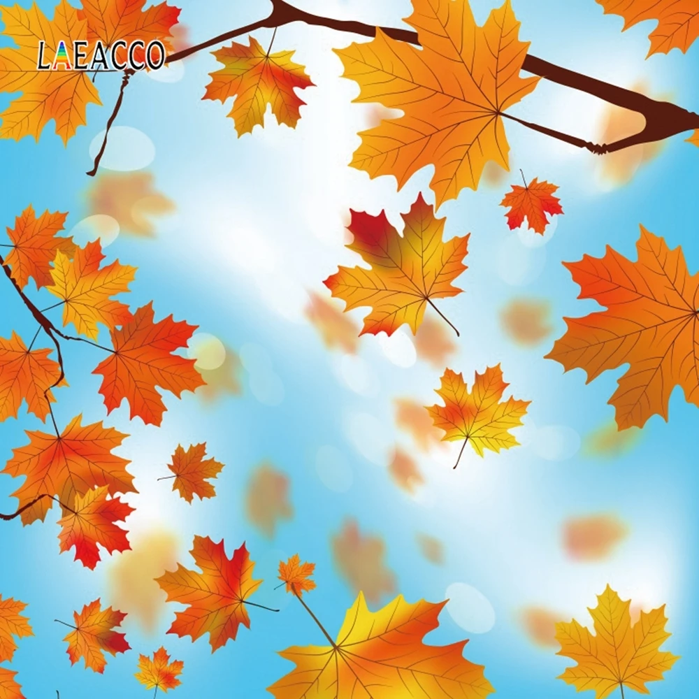 Laeacco голубой свет боке кленовые листья осенний лес фотографии фоны фото