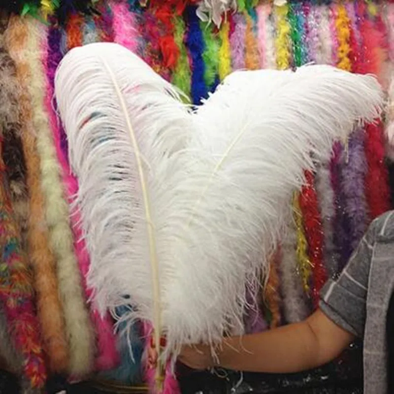 Feather 6