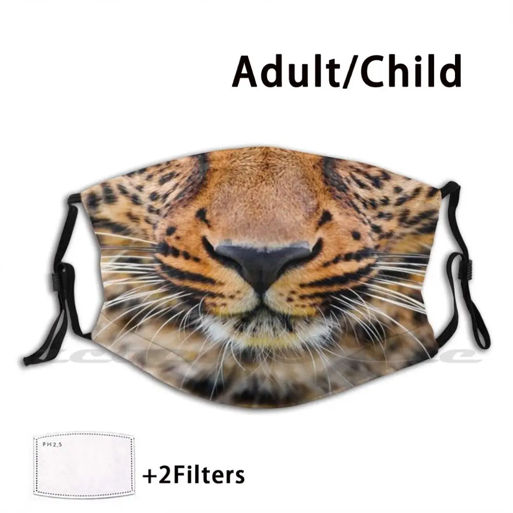 

Маска леопарда для взрослых, детей, моющийся фильтр Pm2.5, логотип, креативность Moji, лицо животного, забавное, дети-подростки, педиатрический Л...