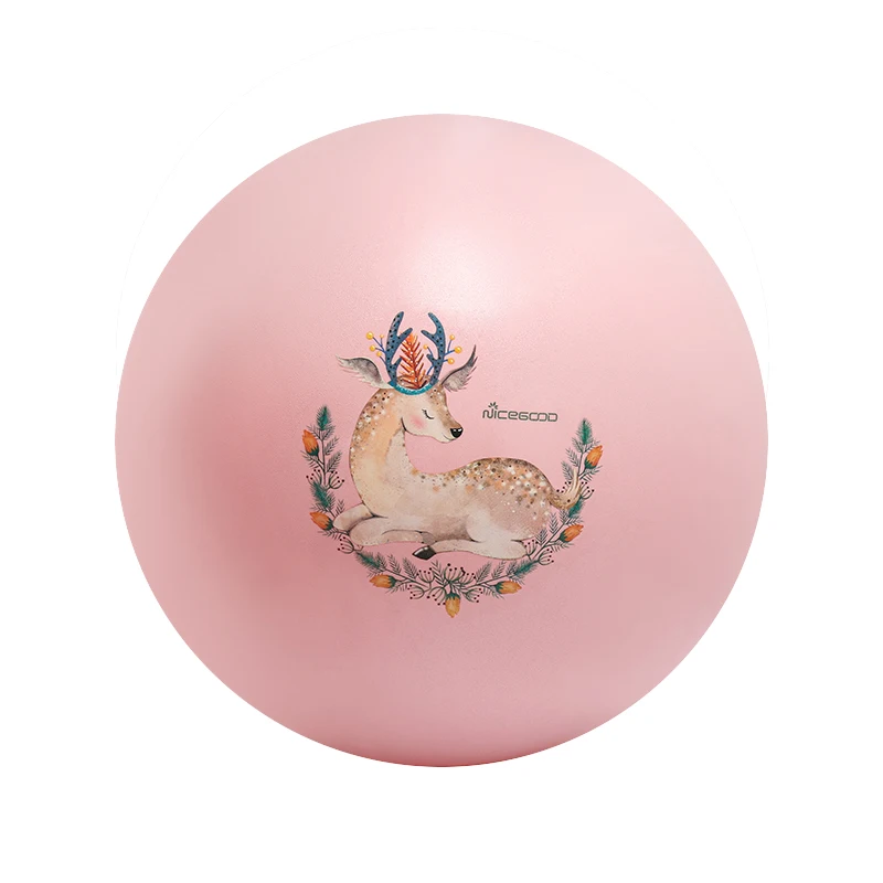 

65cm Yoga Sport Balls Pilates Gym Balance Fitball Explosion Proof Exercise Workout Massage Fitness Balls With Inflator Air Plug