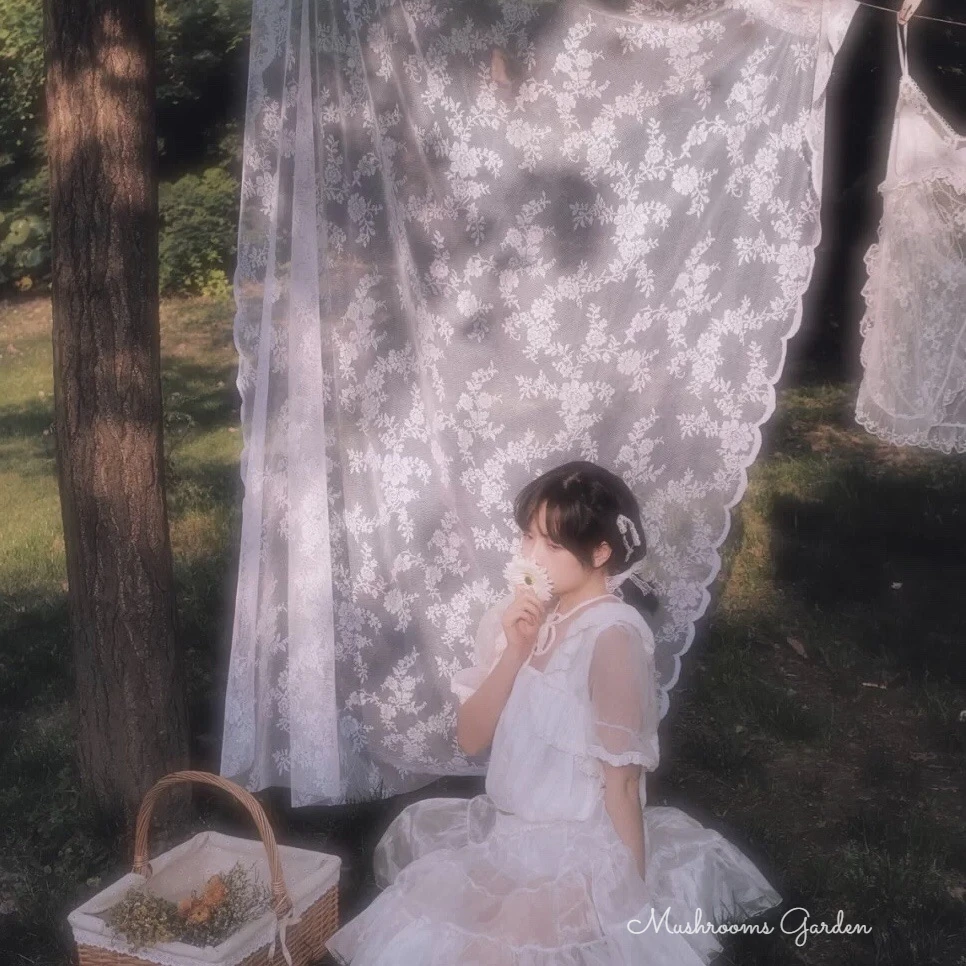 

French Pastoral Romantic Lace Tablecloth Girl Heart White Lace Picnic Cloth Mesh Curtain Photo Background Cloth