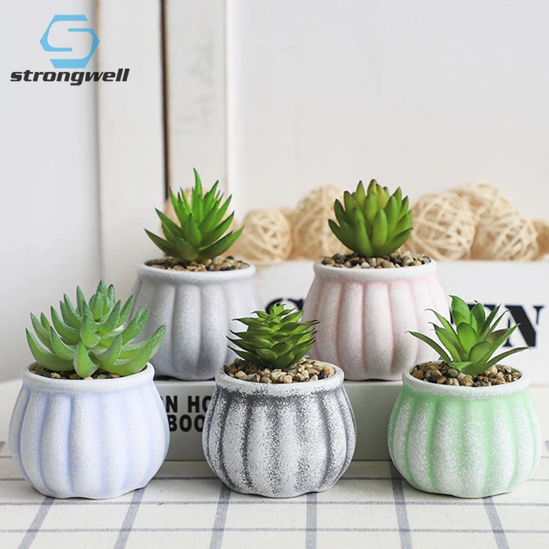 

Strongwell домашнее украшение, эритроминиатюрная модель, настольный дисплей, плантатор, зеленые растения в горшке, сказочный сад в горшке