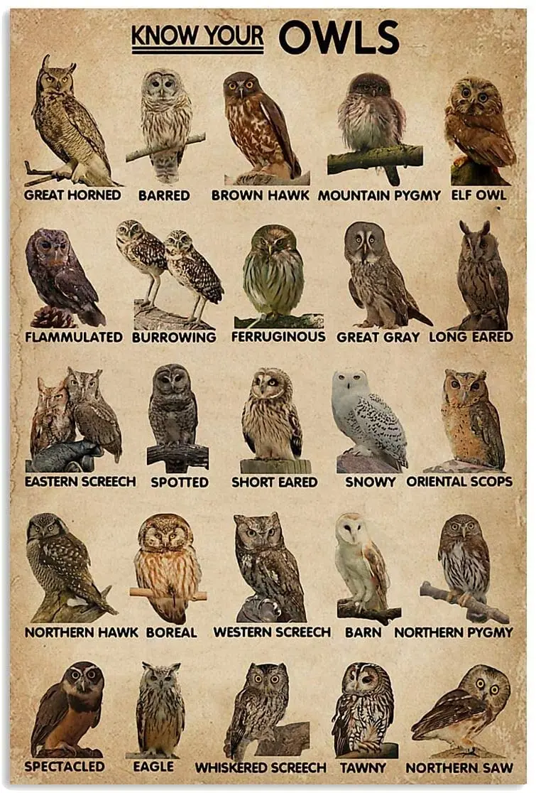 

Vintage Tin Signs Custom Know Your Owl Knowledge Metal Sign,Vintage Wall Art, Decoration Sign Anniversary Birthday Personalized