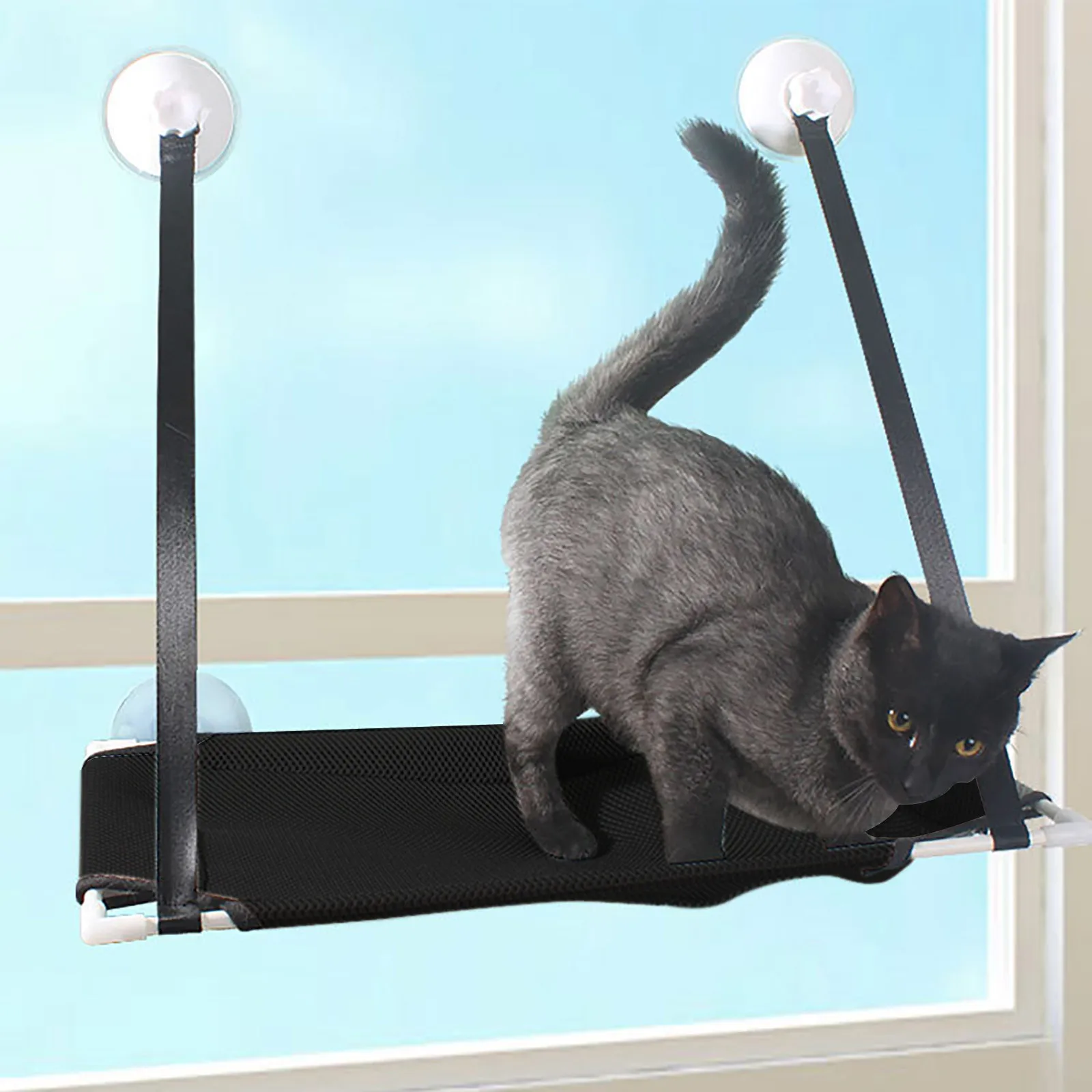 

Cat Accessories Cat Suction Cup Windowsill Cat Hanging Bed Cat Single Layer Hanging Pet Cat Bed