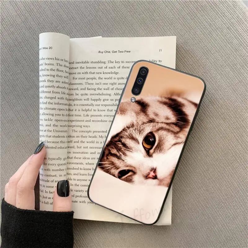 

Cat cute animal funny luxury brand Phone Case For Samsung galaxy S 9 10 20 A 10 21 30 31 40 50 51 71 s note 20 j 4 2018 plus