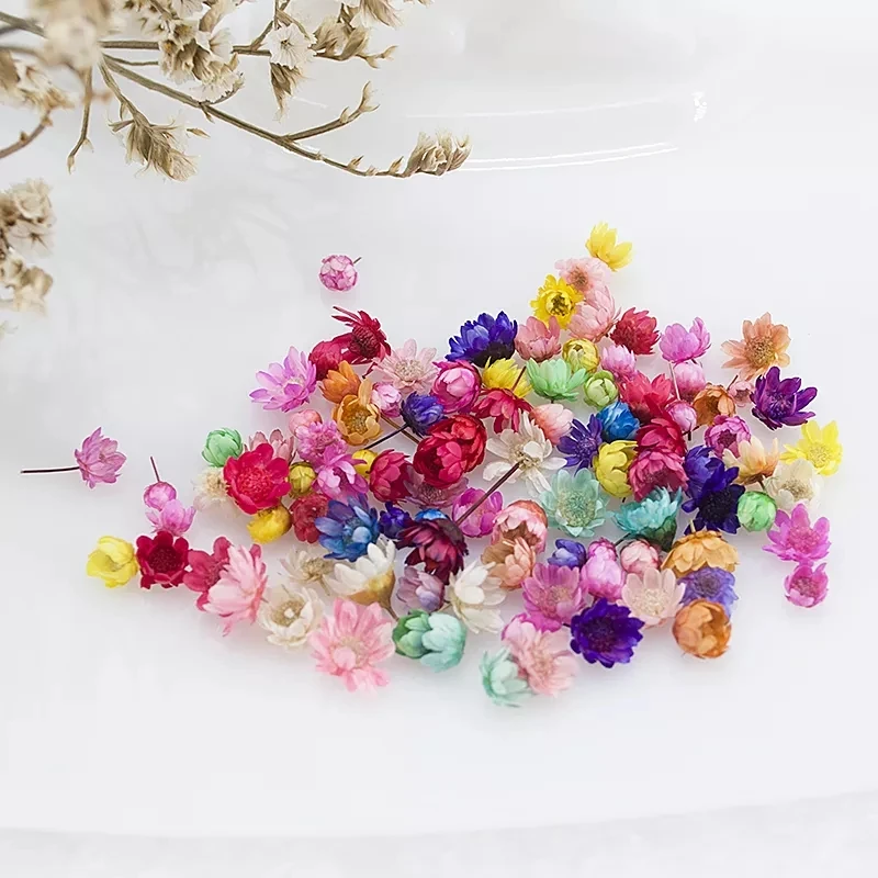 

100/200pcs Dried Flowers Head Dry Daisy Plants for Epoxy Resin Pendant Necklace Jewelry Making Craft DIY Nail Art Accessories