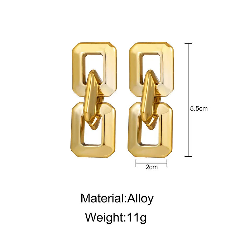 

European and American punk new alloy chain earrings gold thick chain earrings for women jewelry for women