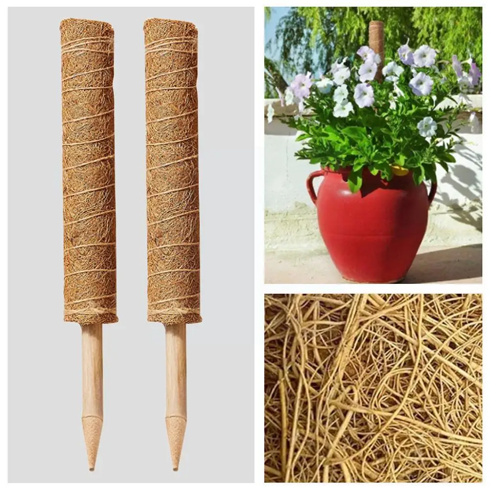 

Plant Support Rod Bracket Climbing Frame Winding Green Tool Sclerotium Vine Climbing Moss Middle Bamboo Plant Support U2w2