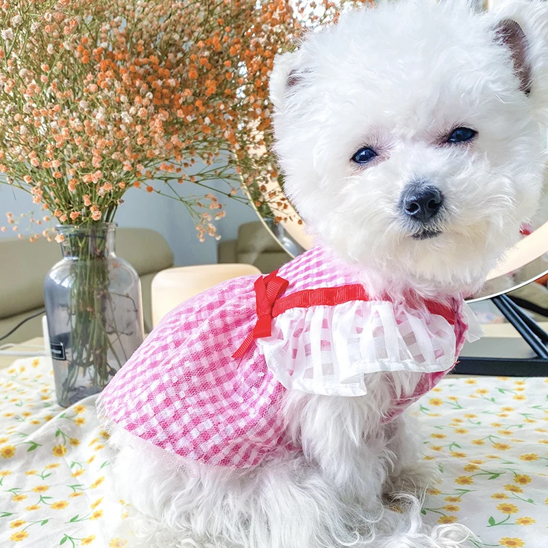 PETCIRCLE Одежда для собак в клетку из сетки на вечеринку юбка платье маленькая