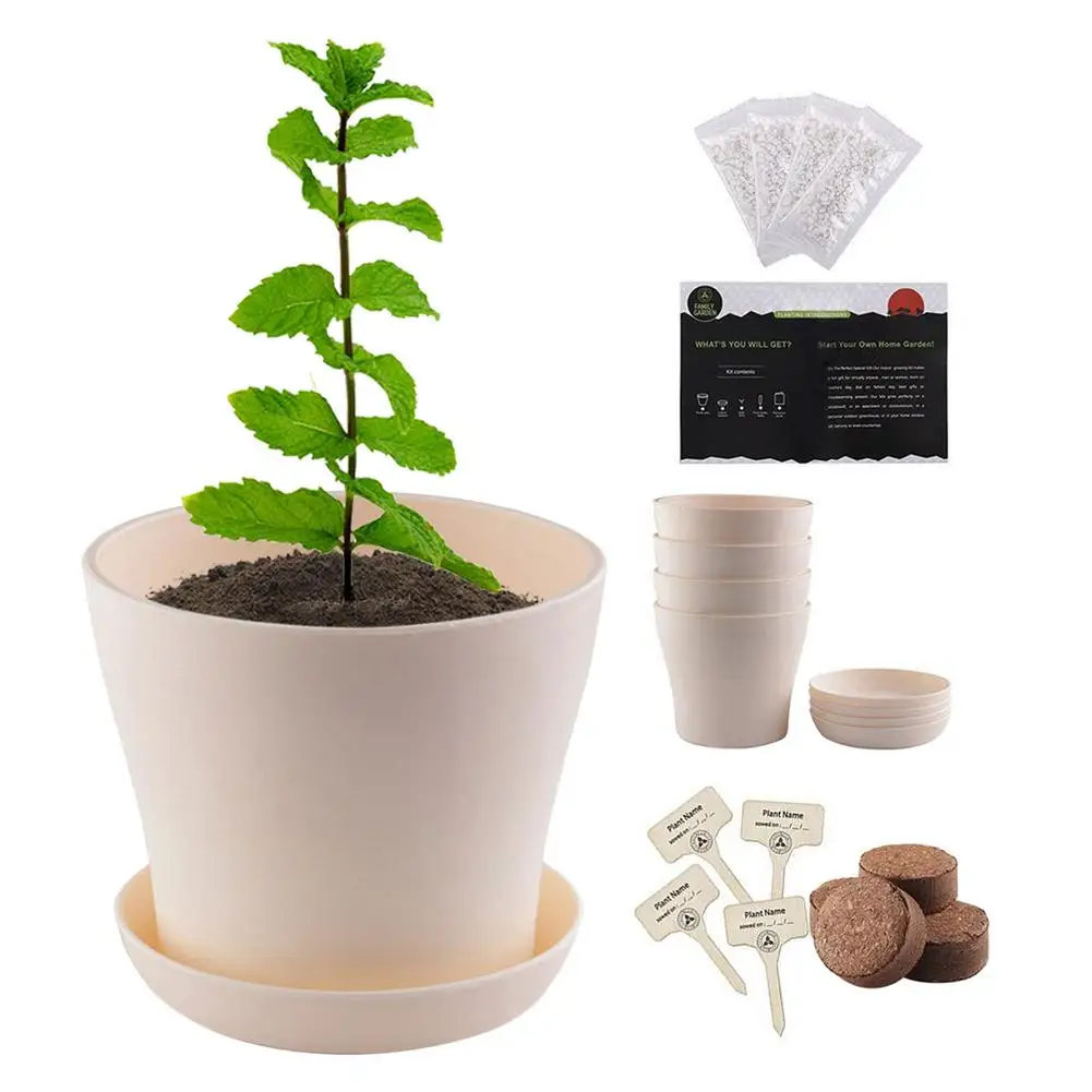 

Indoor Herb Planting Kit - Novice Gardening Growth Starter Indoor Plant Growing Starter Kit Kitchen Window Garden Growing Star