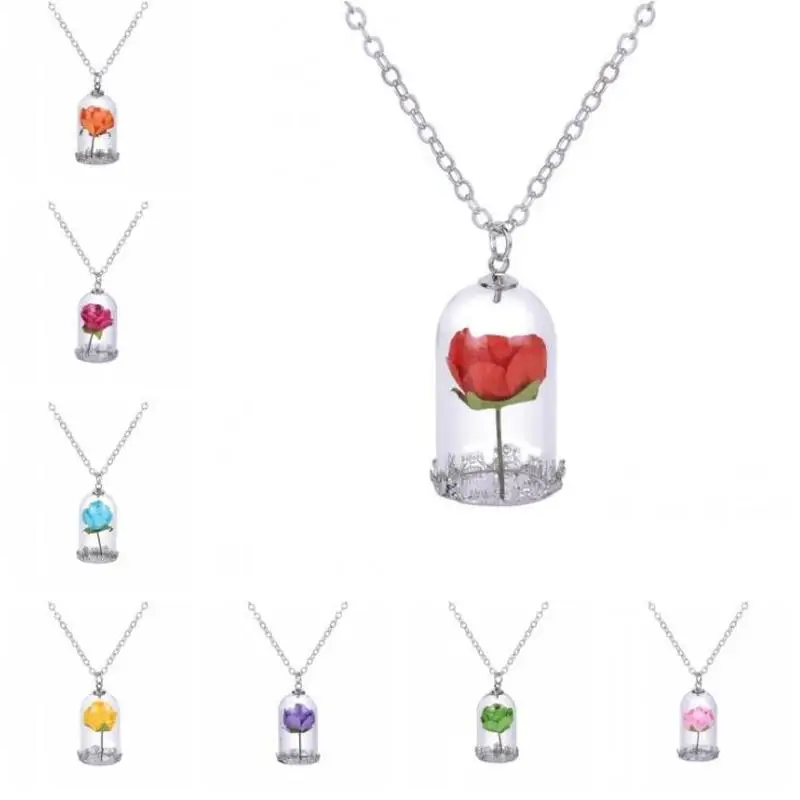 

Bohemia Classical Glass Vial Necklace Prince Rose Necklace pendants Retro Crystal Natural Dried Flowers Necklace For Mom family