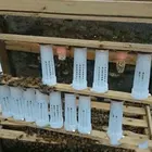 1 шт. пчелы инструменты клетка ловушка для пчел коробка Защитная крышка Анти-укус King Queen для пчеловодства Системы Инструменты для пчеловодства, бесплатная доставка