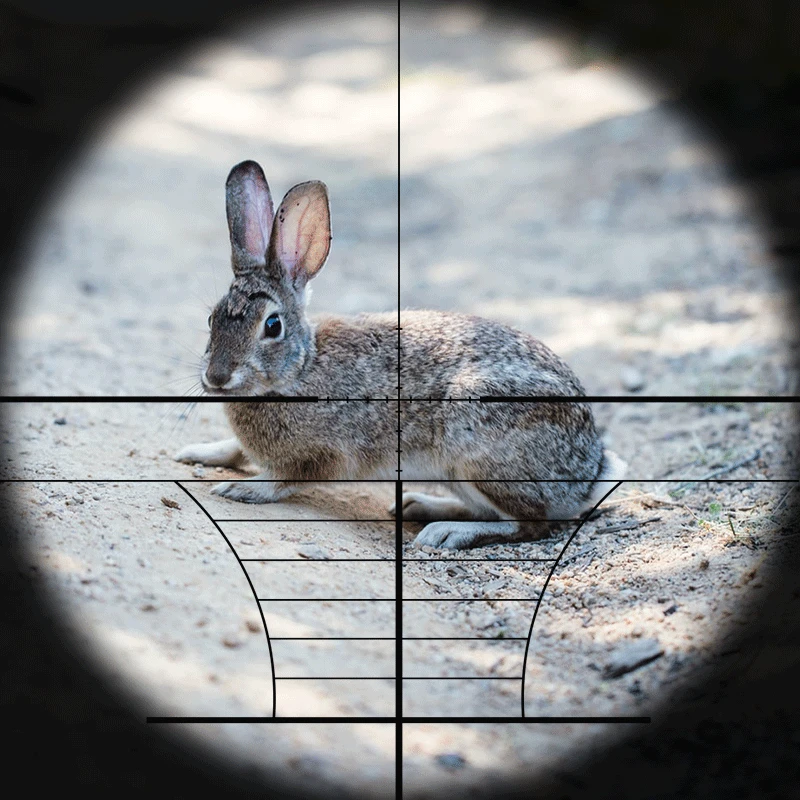 

4-16X50 EG Riflescope Hunting Optics Air Rifle Gun Scope for 22mm Rail Mount Red Green lluminated Reticle Sight Side Rail 20mm