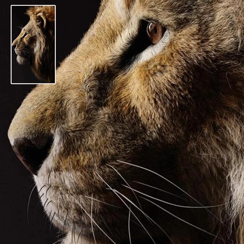 

Canvas Art Animal Cuadros Tiger Leopard Lion Poster Wall Art Aisle Decorative Paintings Hoom Decor Classical Living Room Picture