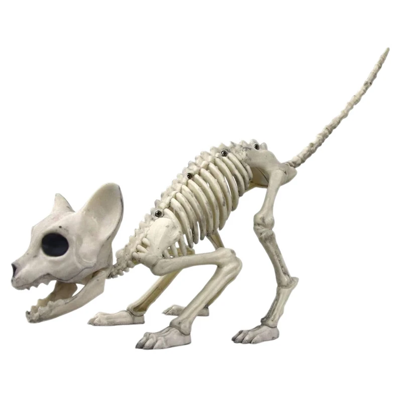 

Skeleton Cat, Plastic Crouching and Sitting Cat Skeleton, Cat Skull Ornaments Horror Decoration Ornaments