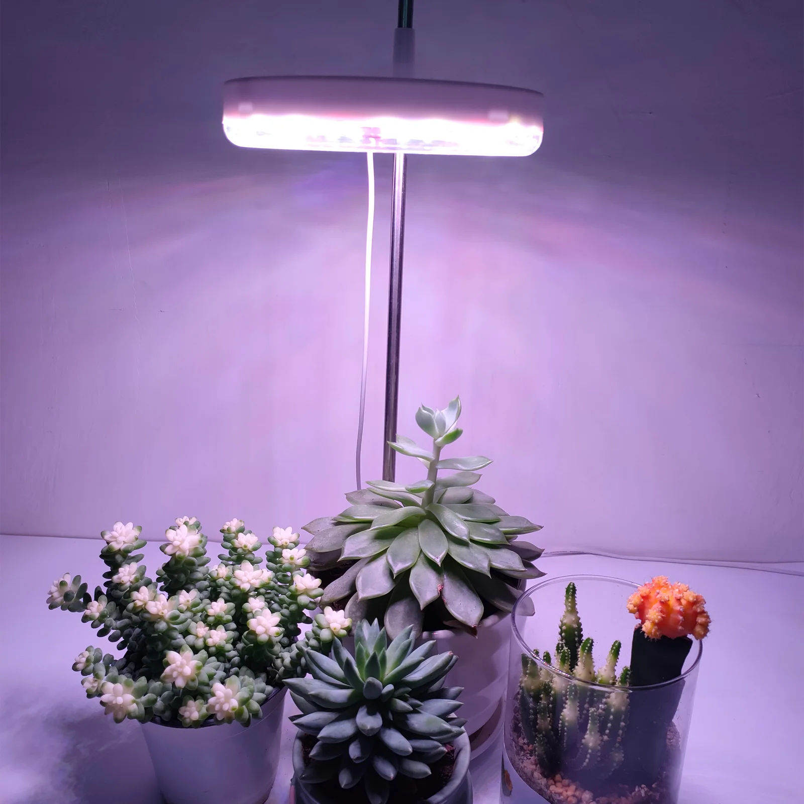 

LED Ring Plant Growth Light Indoor Full-spectrum Fill Light Dimming Potted Green Plants Succulent Spotlight Annular Plant Lamp