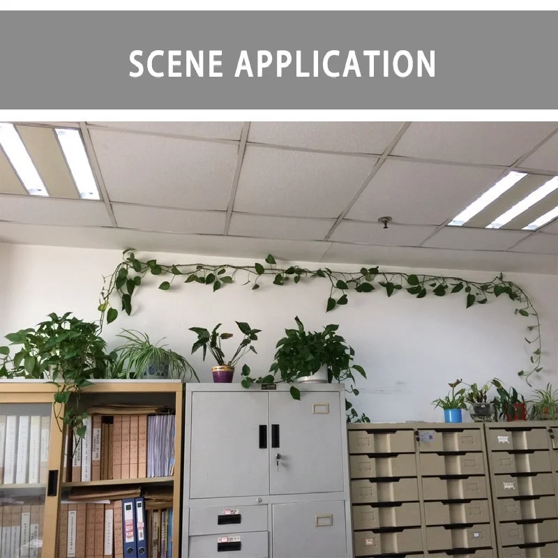 Зажим настенный ротанговый зажим для подъема растений фиксированная Пряжка 10 шт.