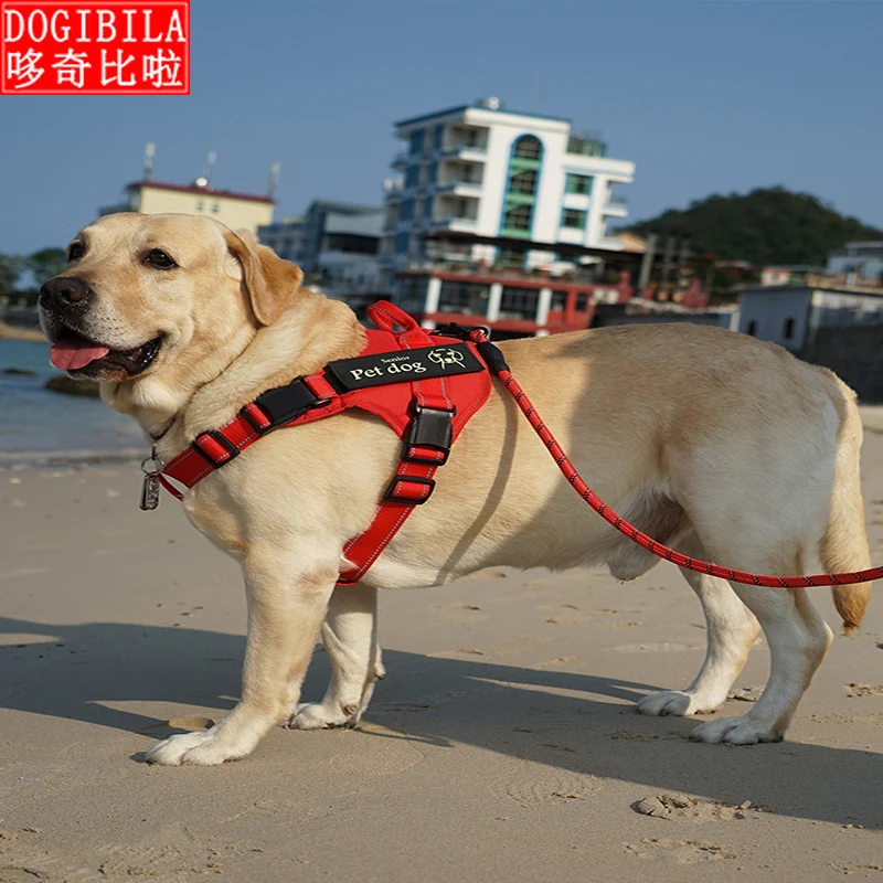 Защита грудной клетки для домашних животных и пояс на спине взрывобезопасный