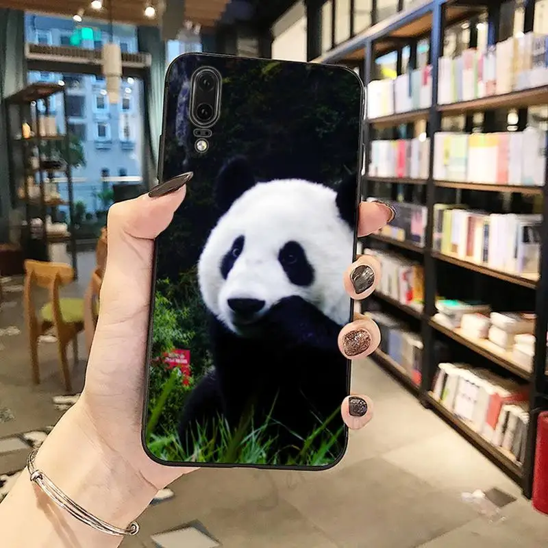 

Cute animal panda Phone Case For Huawei honor Mate P 10 20 30 40 Pro 10i 9 10 20 8 x Lite