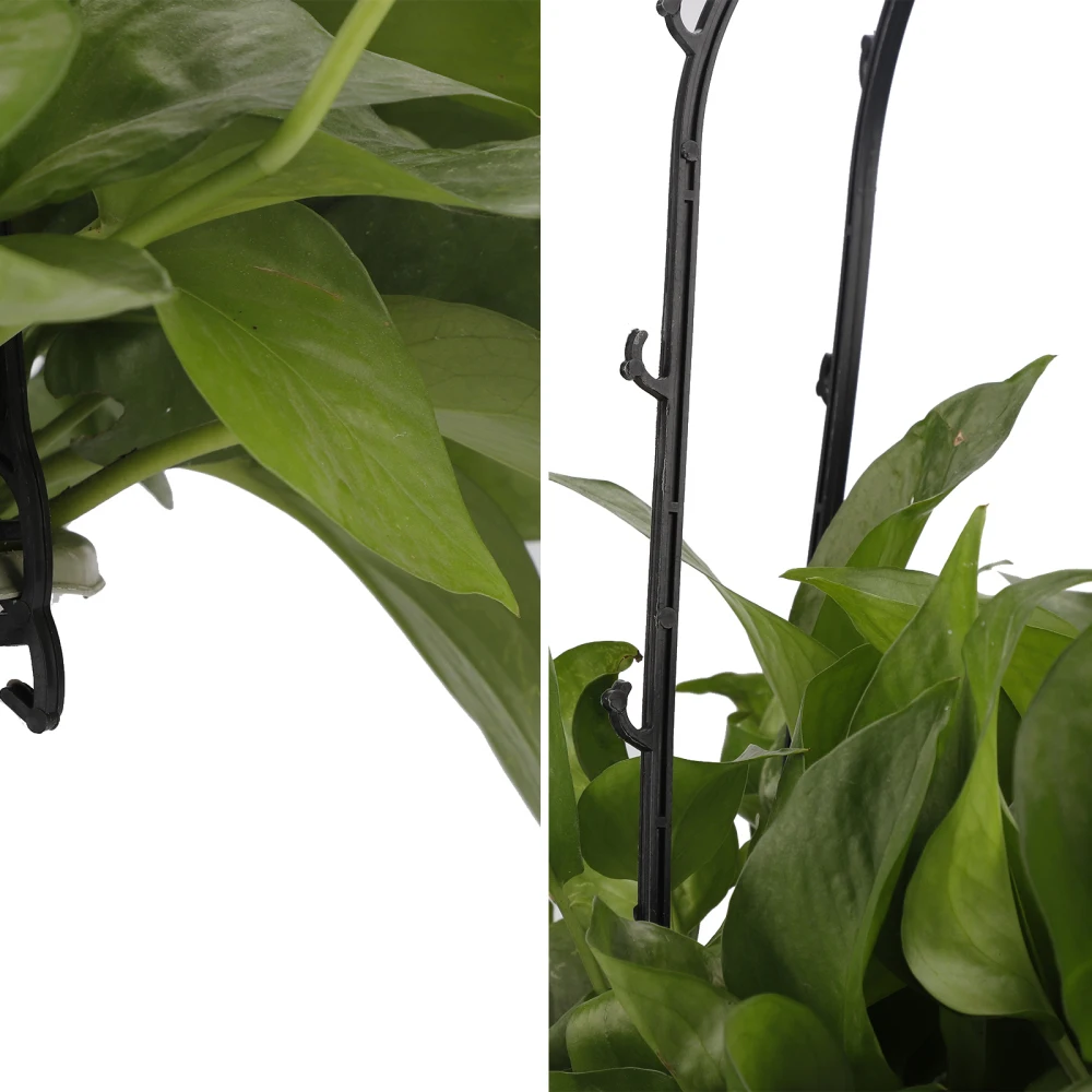 U образная подставка для растений Садовые принадлежности 1 шт. садоводство 6