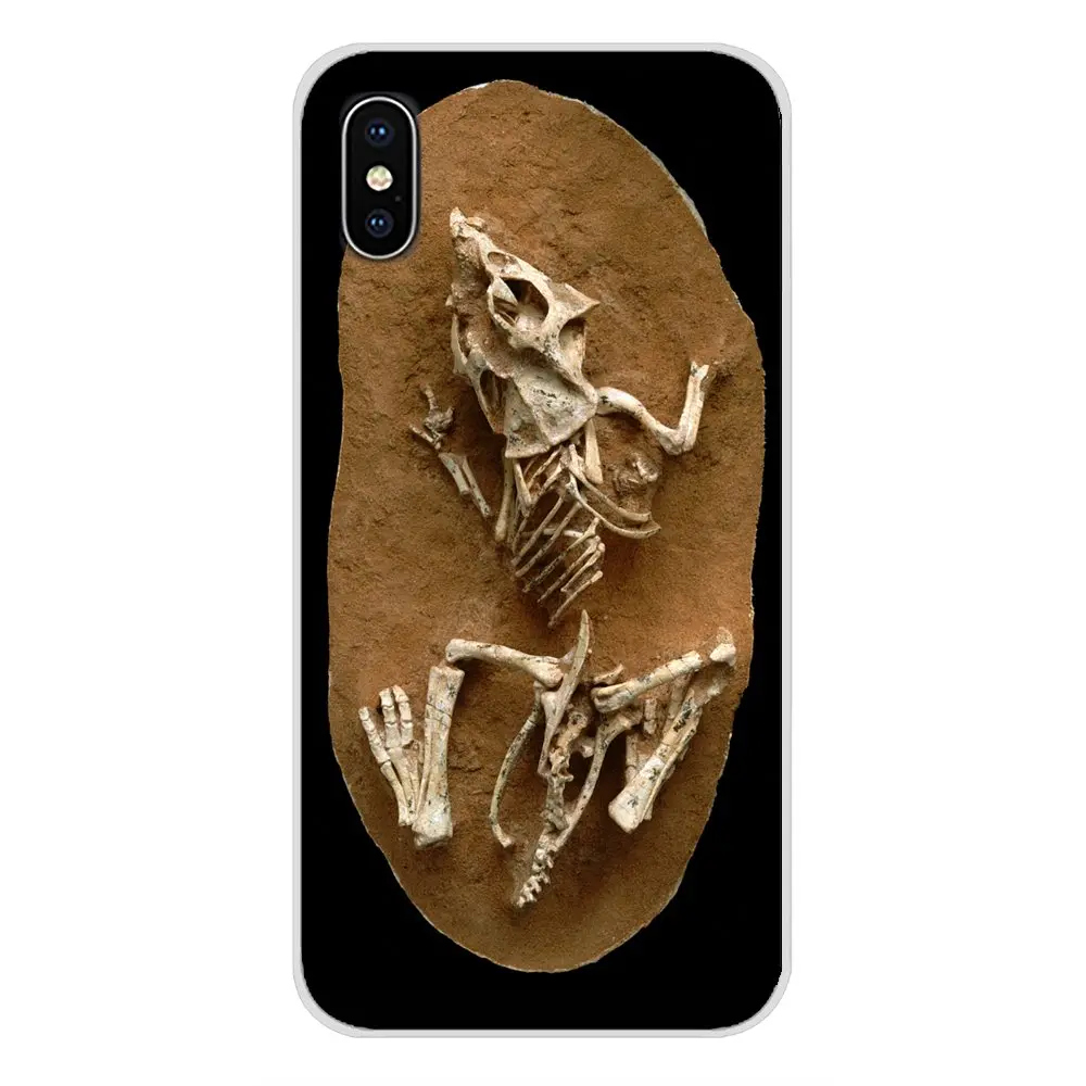 Биологические окаменелости растения динозавра рыбы для Oneplus 3 5 6 7 T Pro Nokia 2 8 9 230 1 Plus