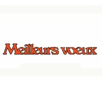 meilleurs voeux french word die cuts for card making french word meilleurs voeux dies scrapbooking metal cutting dies new 2019