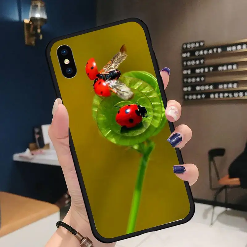 

ladybug cute animal Four leaf clover Phone Case for iPhone 11 12 mini pro XS MAX 8 7 6 6S Plus X 5S SE 2020 XR