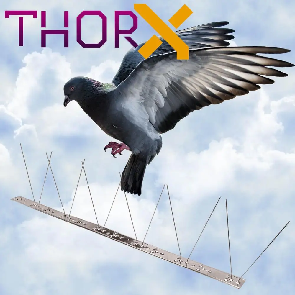 MH-01-SL 1 row pigeon spikes bird spike birds on stainless steel base - high quality solution for control |