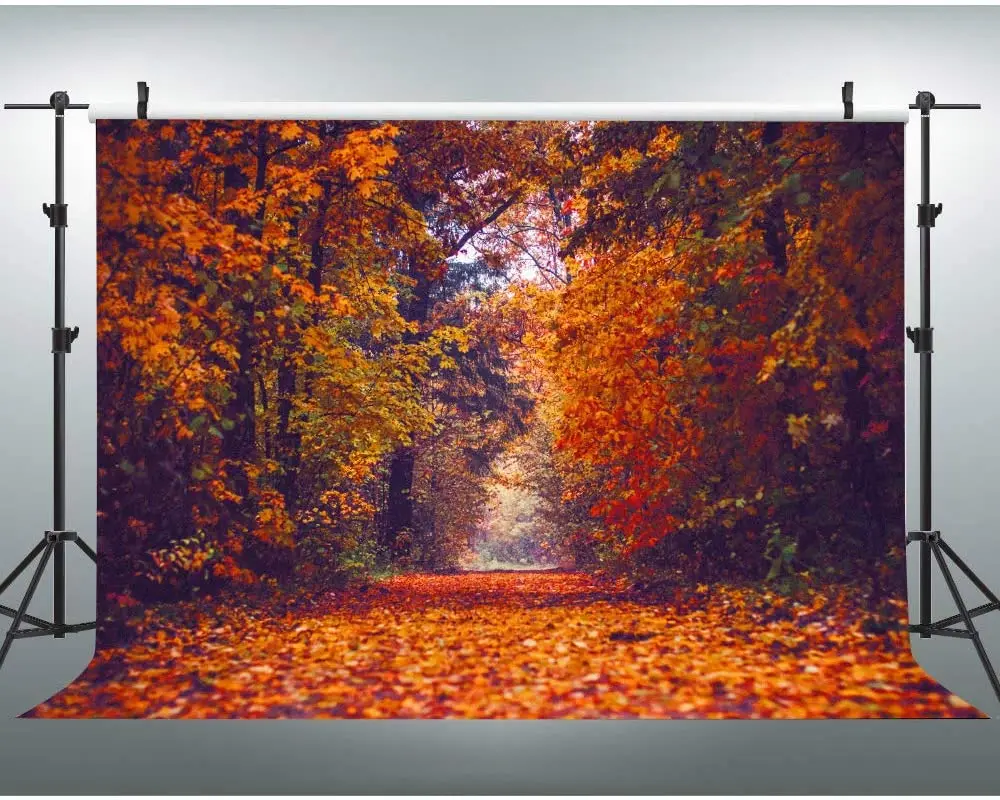 

Фон для фотосъемки с изображением кленовых листьев, Осенний желтый туннель, пейзаж, фон с изображением природного сезона, Осеннее дерево, уличная дорога