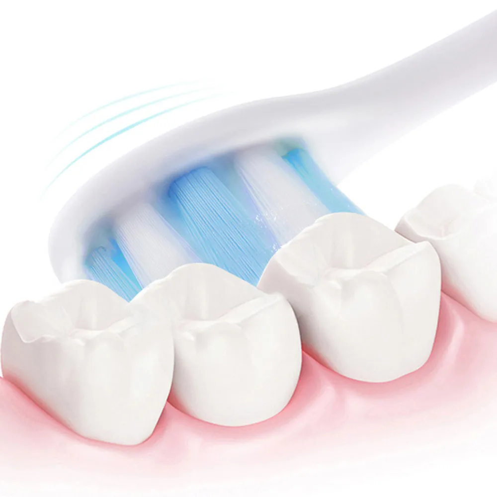 

5 Modes Portable IPX7 Waterproof Sonic Electric Toothbrush USB Rechargeable Electric Tooth Brush Teeth Cleaner + Toothbrush Head