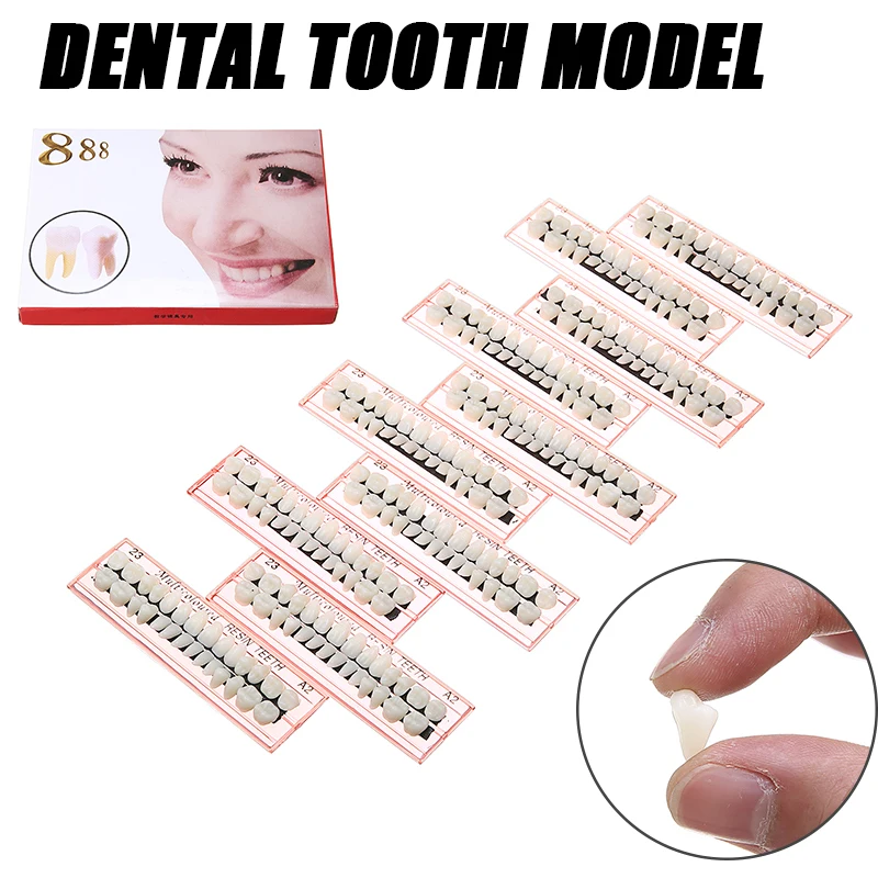 

10 наборов зубных зубов обучающая Модель Прочный зубной протез пластиковый зуб 28 шт./компл. накладные зубы Стоматологический материал зубы