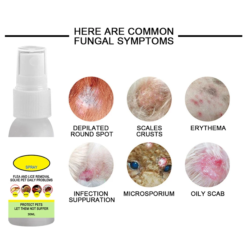 

Cat Flea and Tick Control Spray for Cat Dogs Safe to Use 30ml/50ml/100ml PLDI889