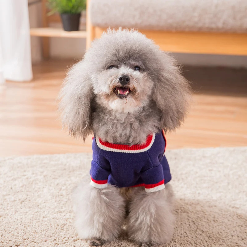 Hipidog одежда для домашних животных Новое поступление брендовый свитер для собак Зимний теплый свитер для собак