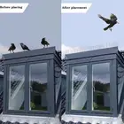 Шипы из нержавеющей стали для отпугивания птиц, 25 см