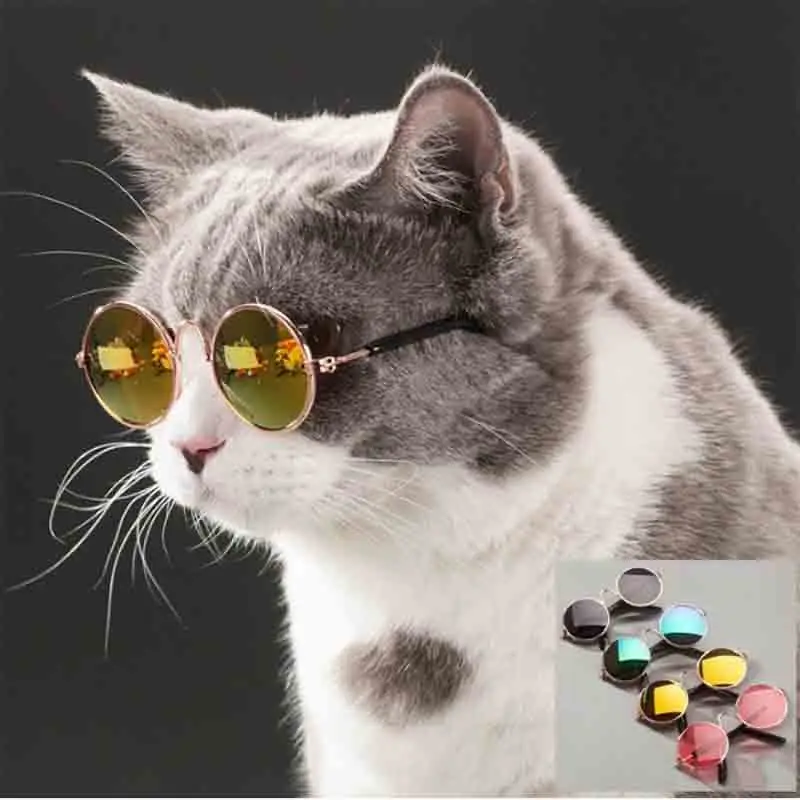 Очки для домашних животных модные трендовые очки собак кошек Солнцезащитные