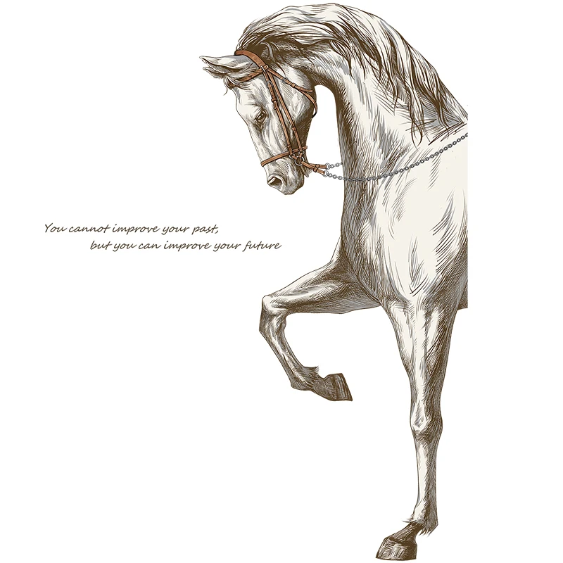 

Creative Horse Wall Stickers Teenager Modern Bedroom Living Room Decoration Aesthetic Home Office Decor Decals for Furniture Art