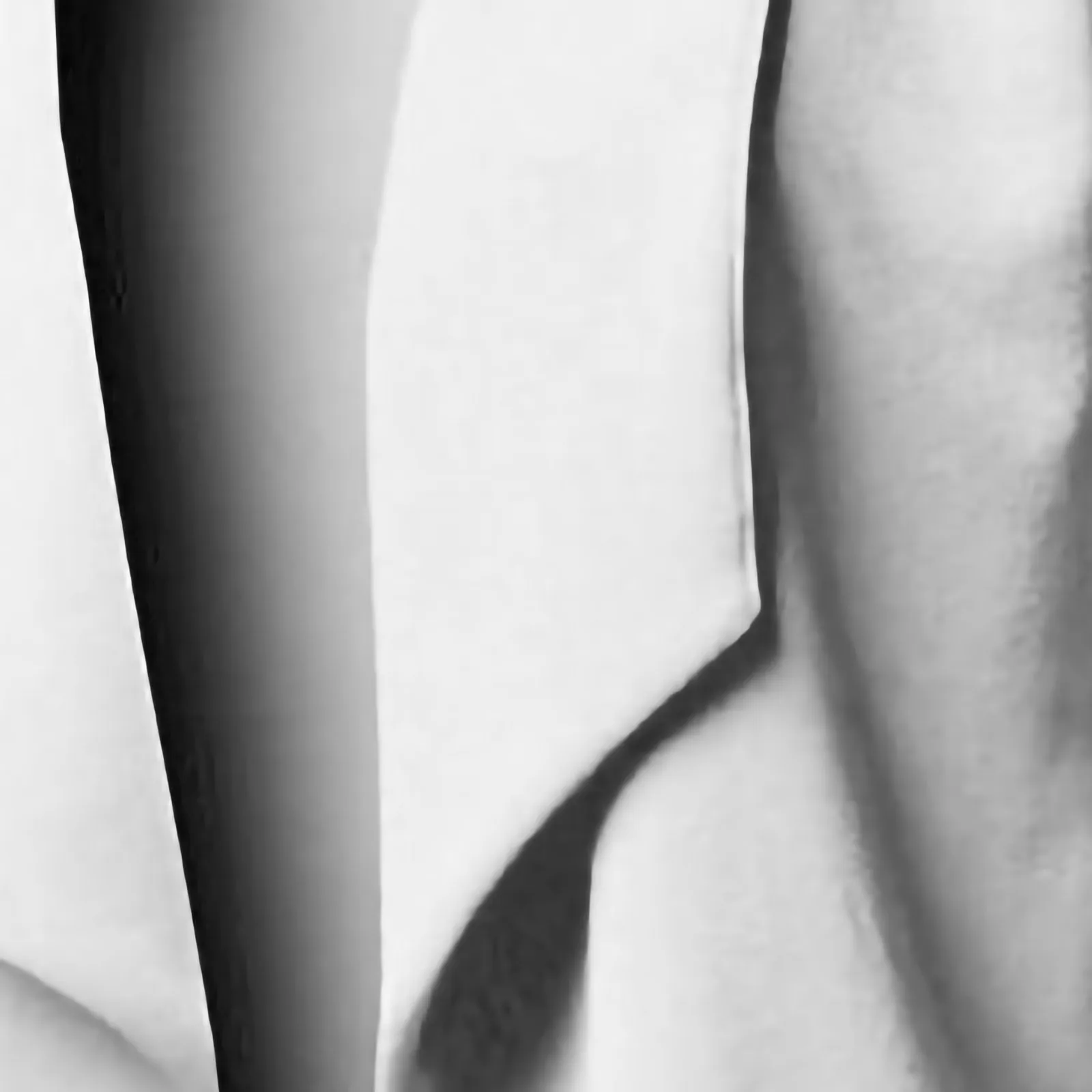 

Fashion Blazer Jacket Coat For Women Elegant Style Long Sleeve Turn Down Collar Long Sleeve Brief Blazer Coat Autumn