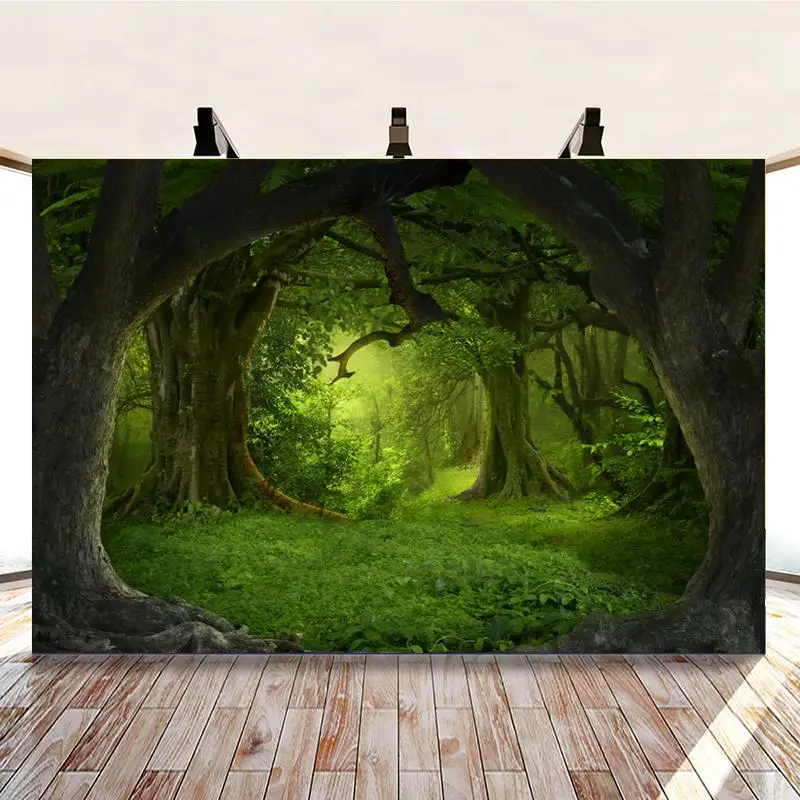 

Morning Forest Giant Trees Green Background Picture Travel Hobbyist Studio Photography Photos Can Be Customized