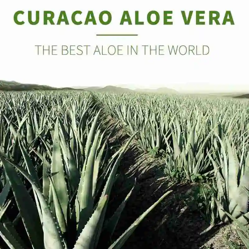 Aloe Vera Gel Pure Natural 100% Face Cream Moisturizer Aloe Acne Treatment Remove Gel Cream Scar Repair Sunburn Soothing M7B1