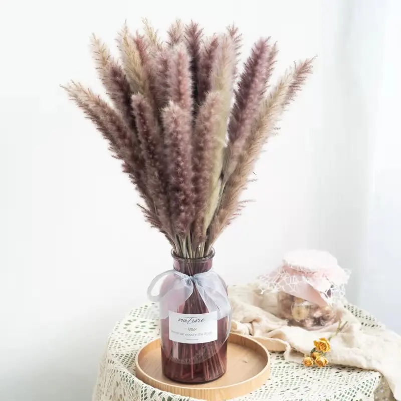 

Pampas Decoration Reeds Flower Pamp Grass Bouquet Sechees Bulrush Wedding Arrangement Dekoration Home Decor Communis Phragmites