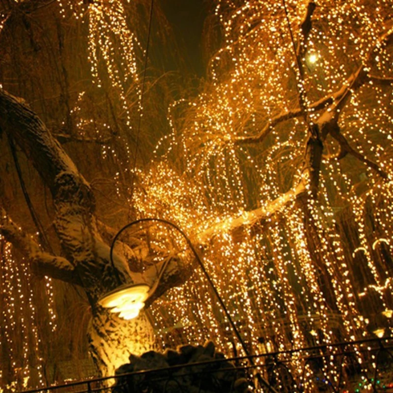 

DC12V 10M/20M/30M/50M Led Silver/Copper Wire string light LED Fairy garland Light with Power Adapter for Christmas wedding decor