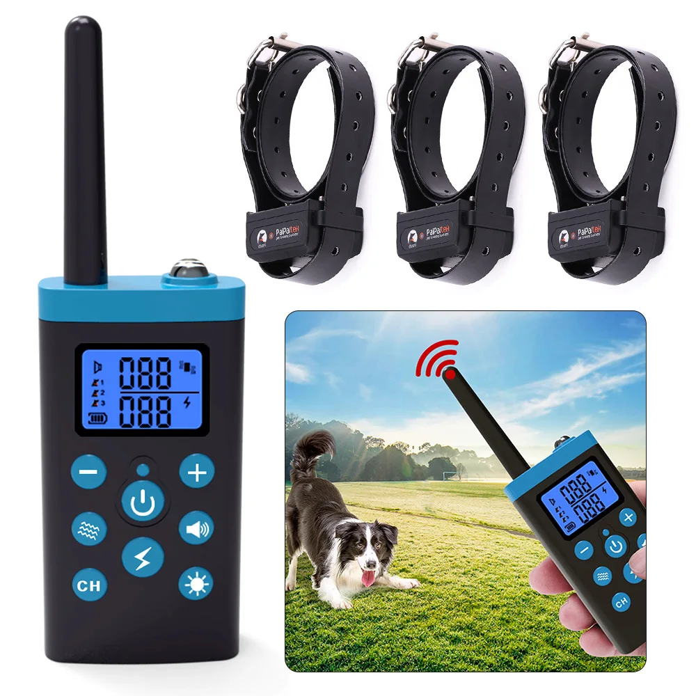 

Pet Products
