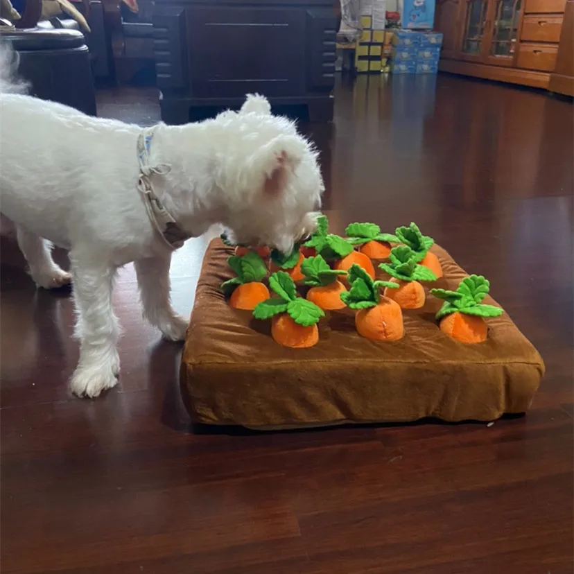 חיות מחמד כלב צעצועי גזר בפלאש צעצוע ירקות ללעוס צעצוע לכלבים לאנפף מחצלת לכלבים חתולי עמיד ללעוס גור צעצוע כלבים אבזרים